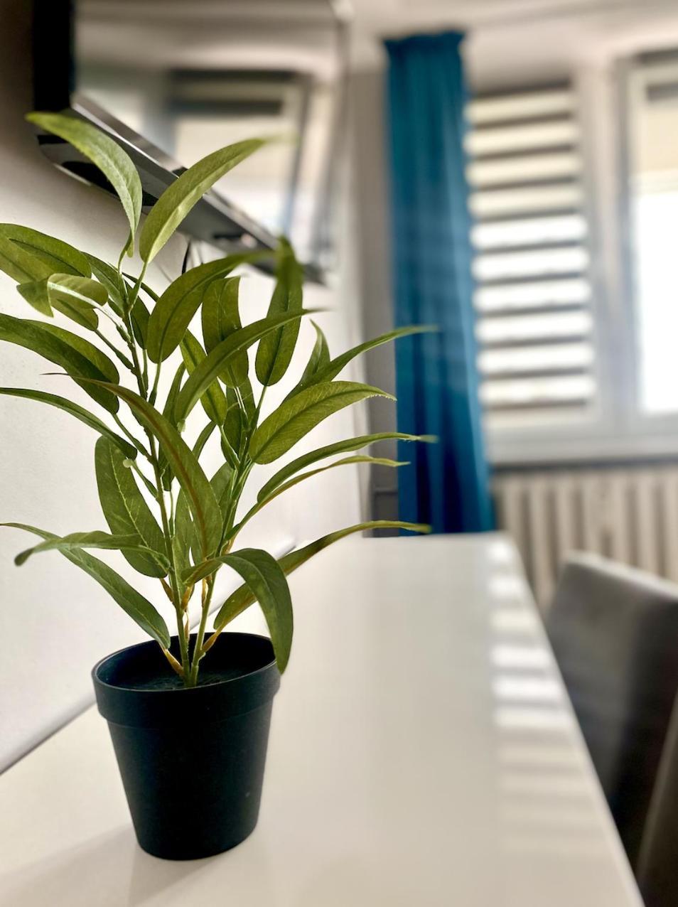 Doba Rent Pokoje Centrum Palacowa Bialystok Bagian luar foto